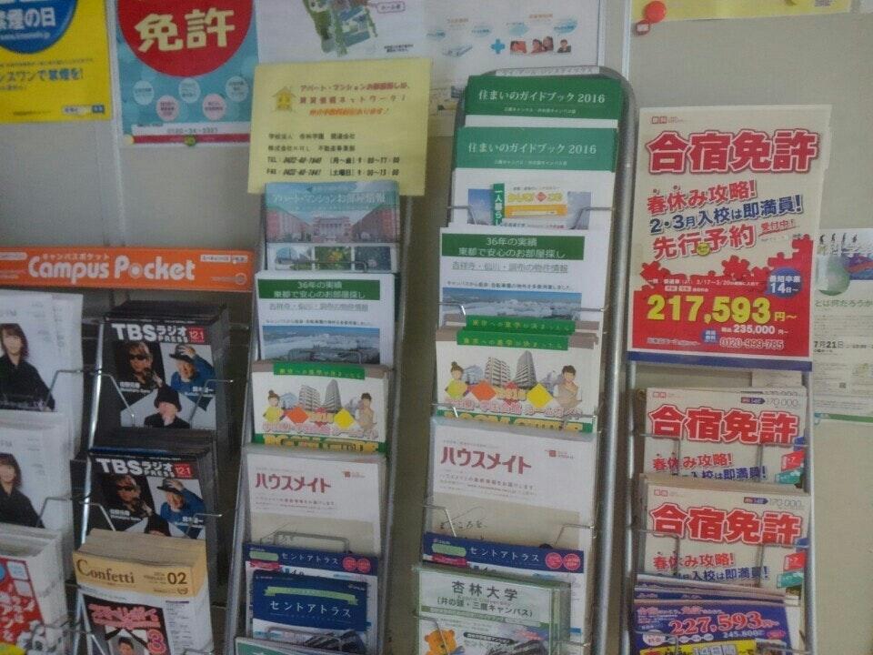 ホール杏