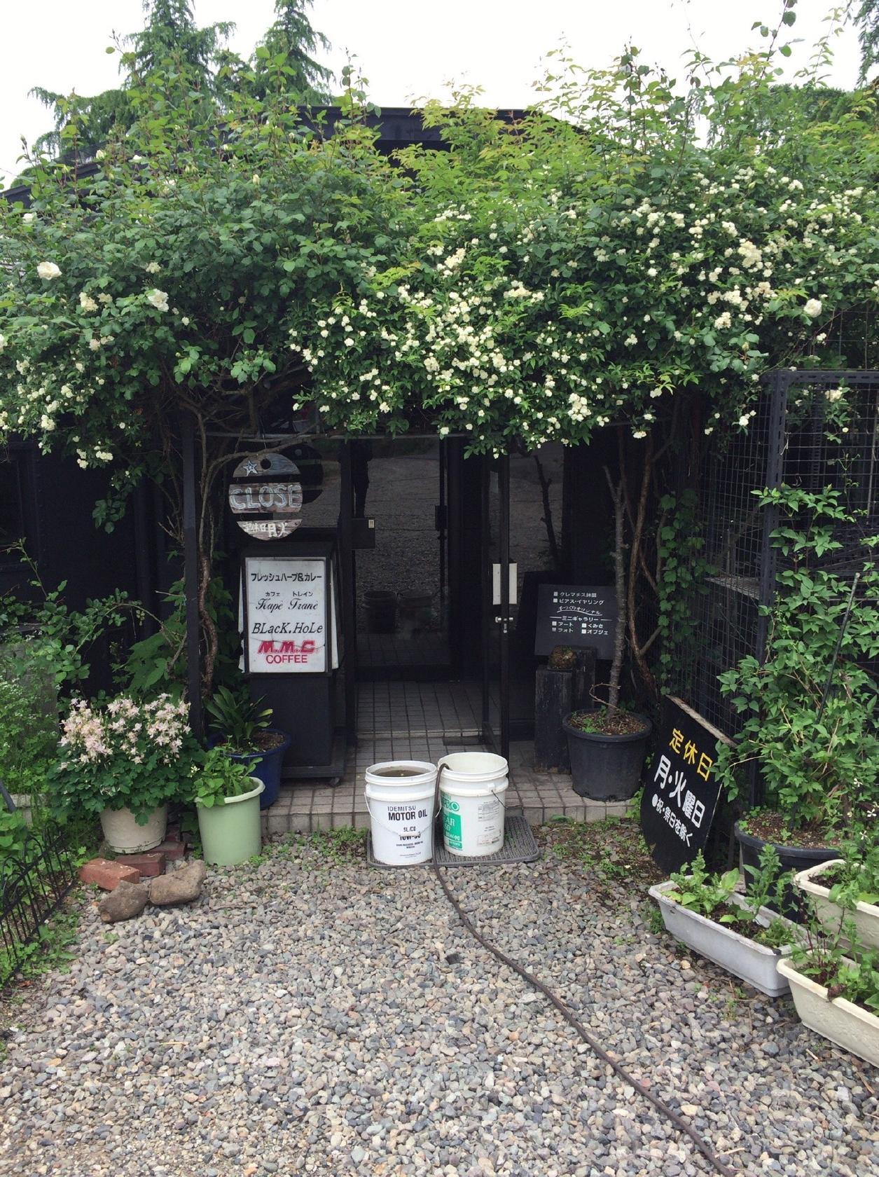 ブラックホール