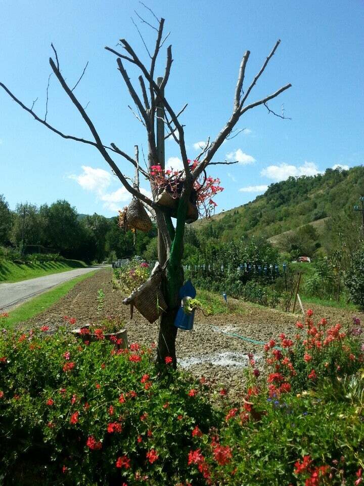 chiosco rio brado