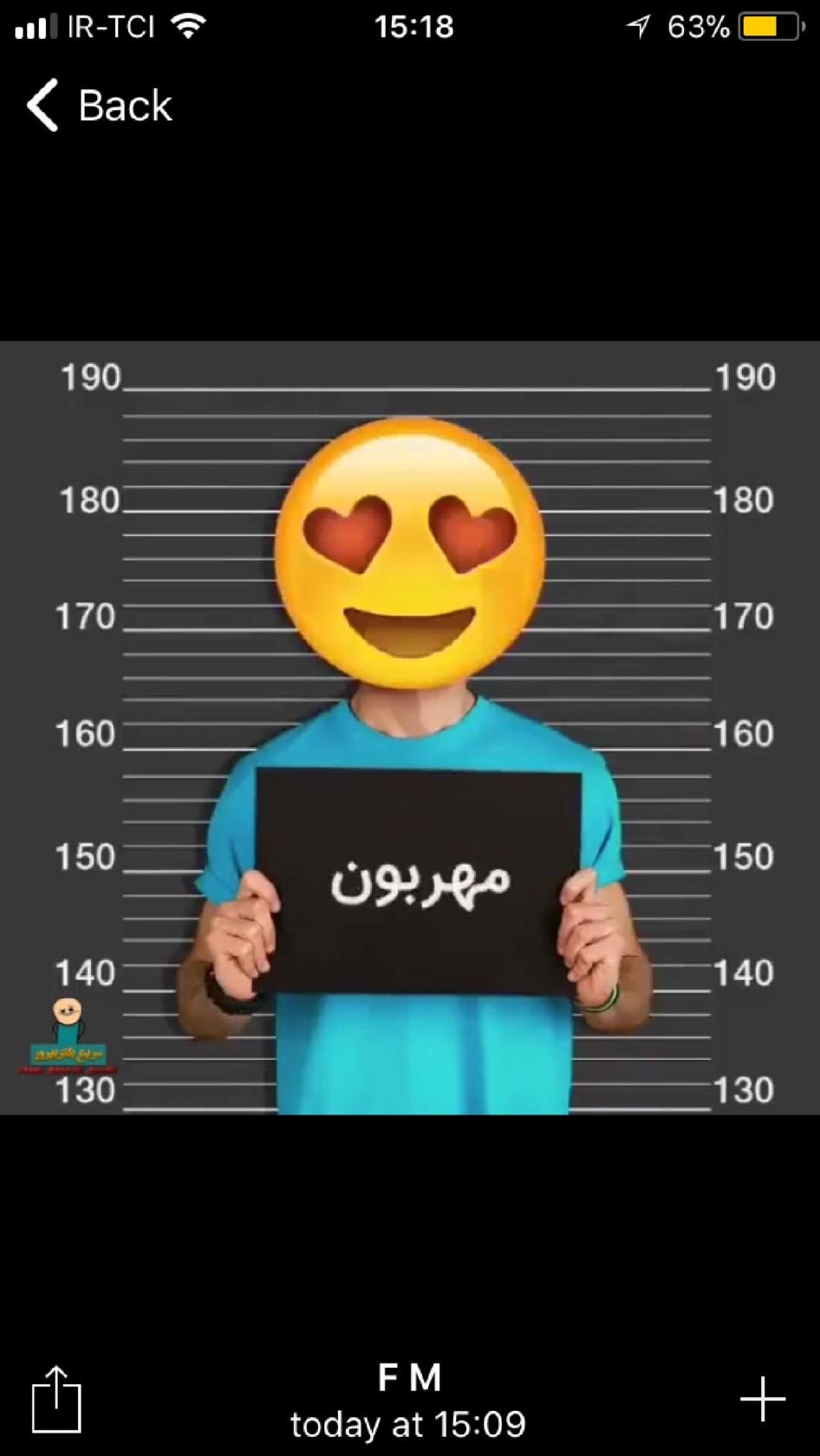 Farshad Omelette املت فرشاد