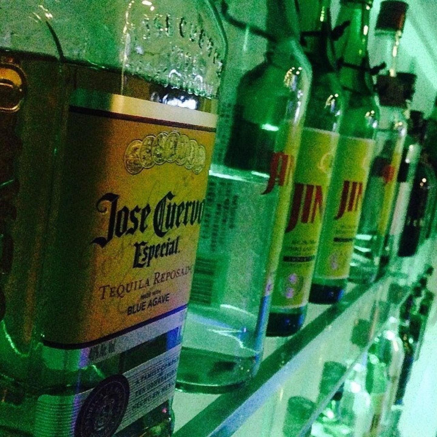 INSOMNIA BAR
