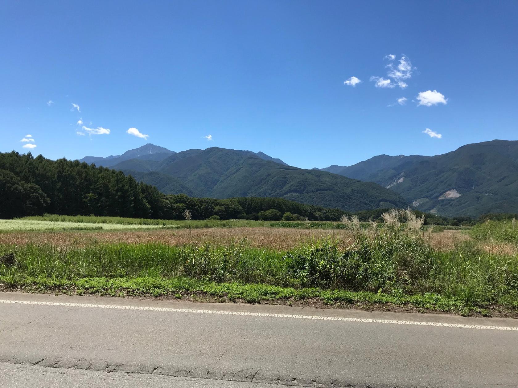 洋風厨房 のんき