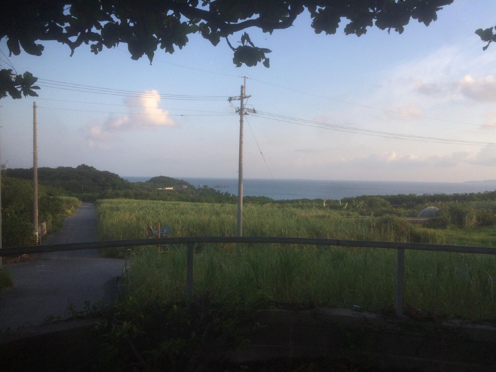 すき家