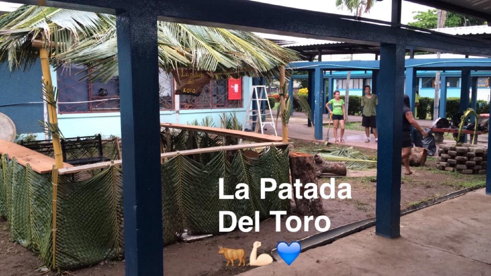 La Patada Del Toro