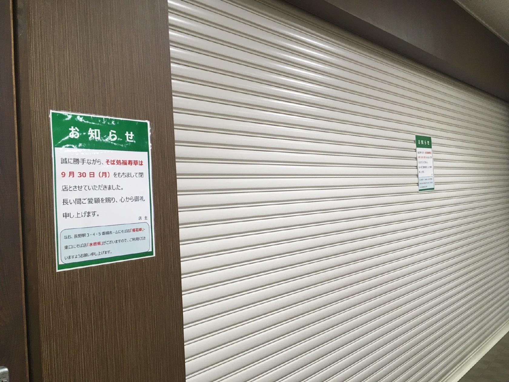 福寿草