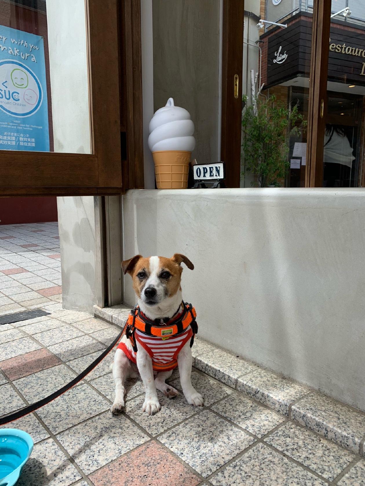 Daimyo Softcream