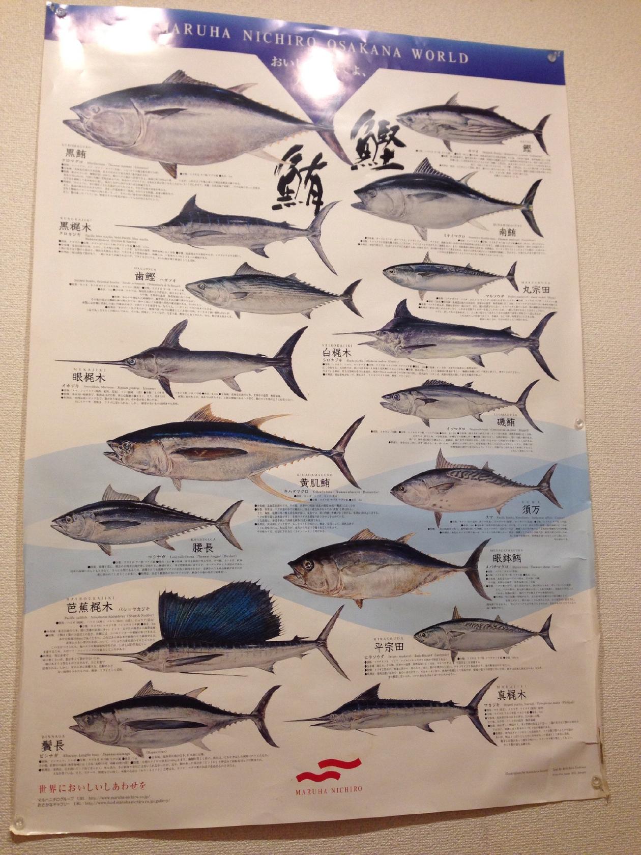 黒まぐろ専門店 黒・紋