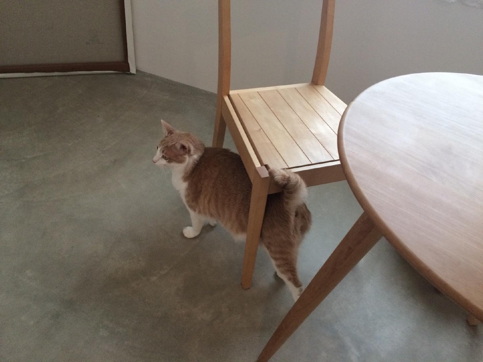 ウフ