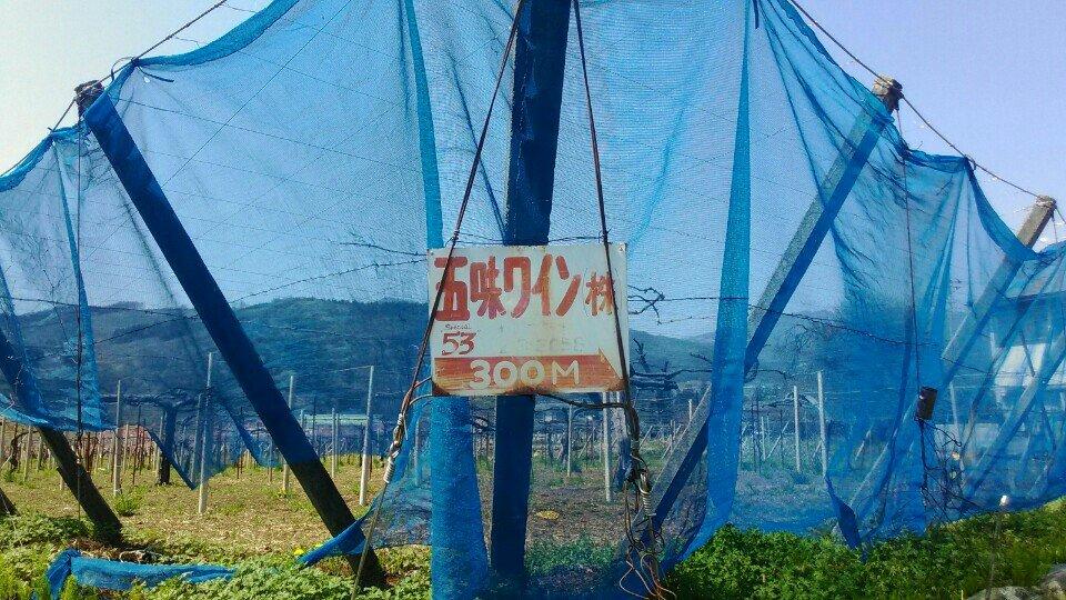 五味葡萄酒