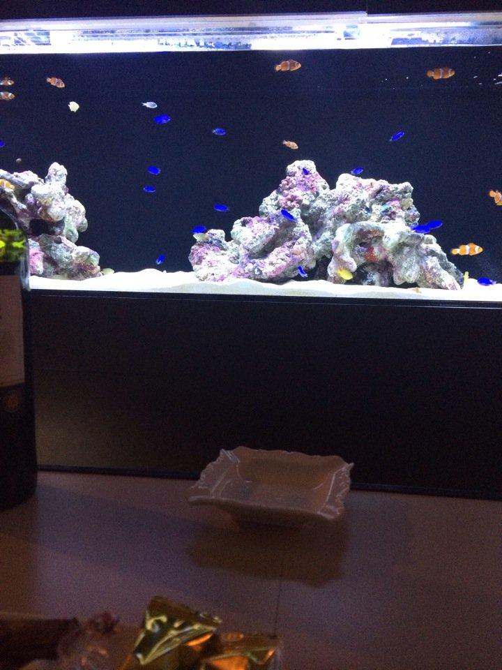 アクアバールッソ
