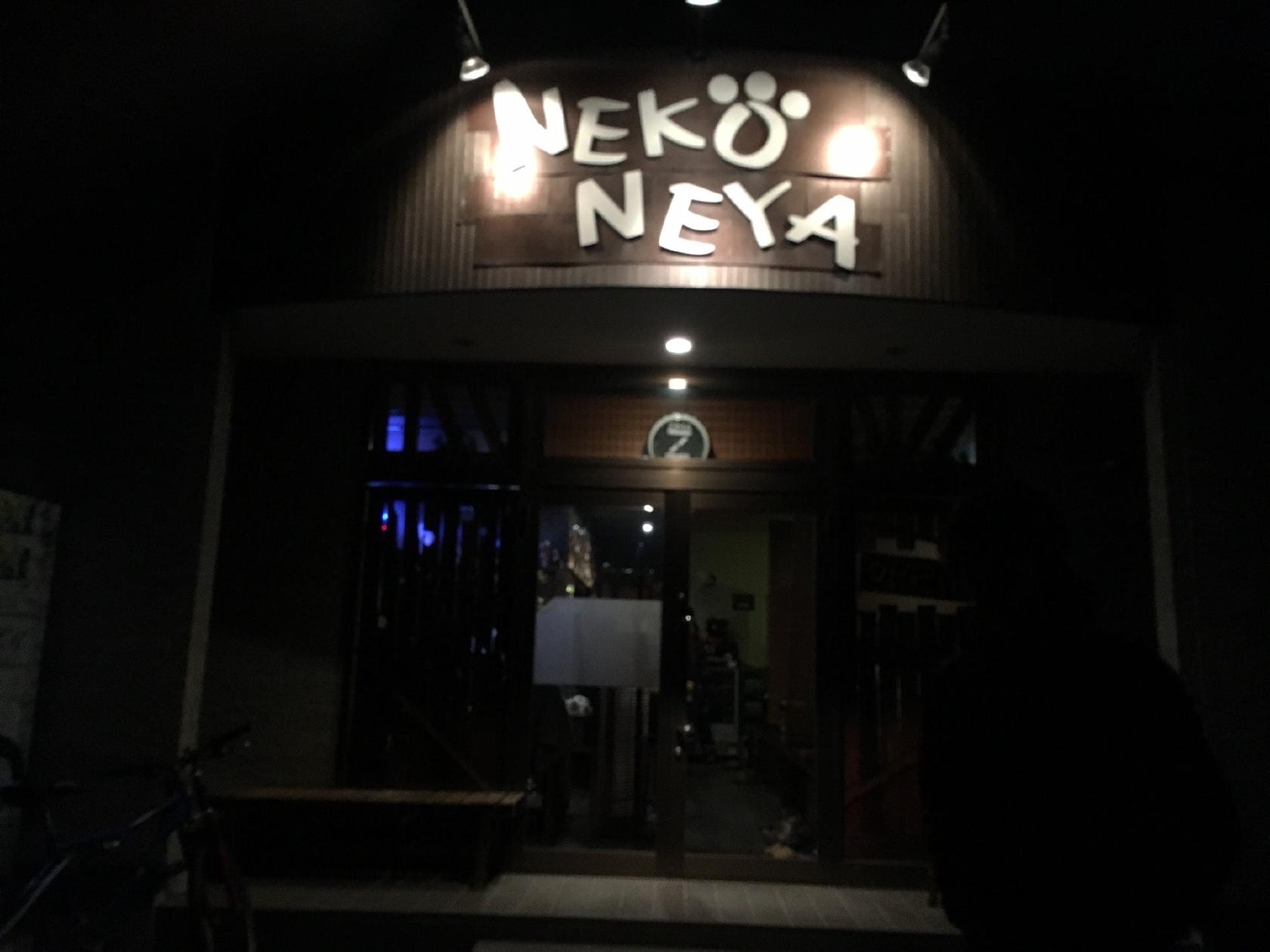 和み居酒屋 NEKONEYA