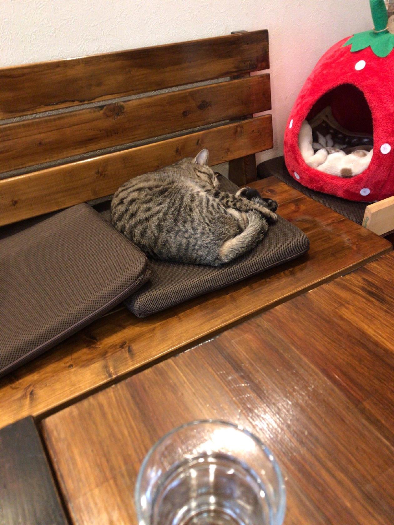 カフェ古木屋