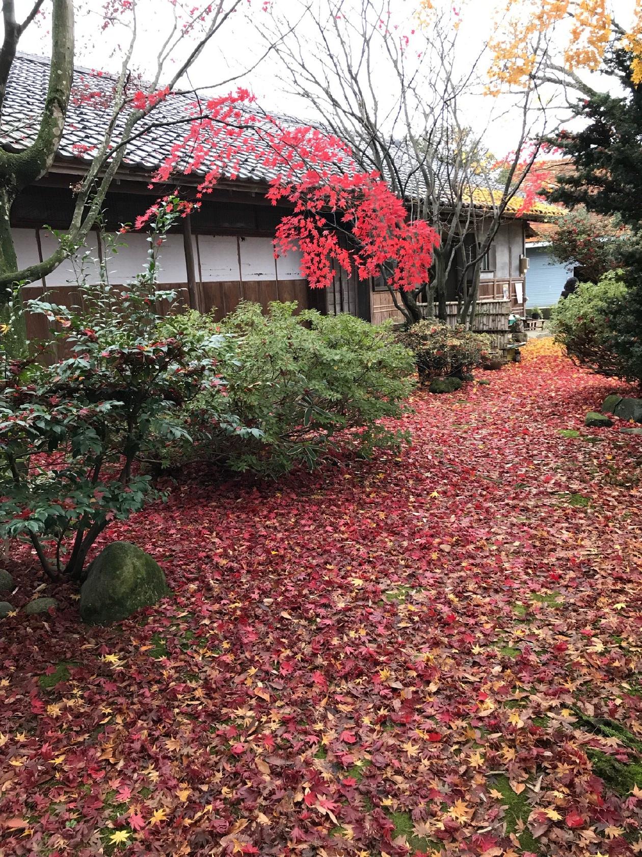 ギャラリー&カフェ 絵のある風景