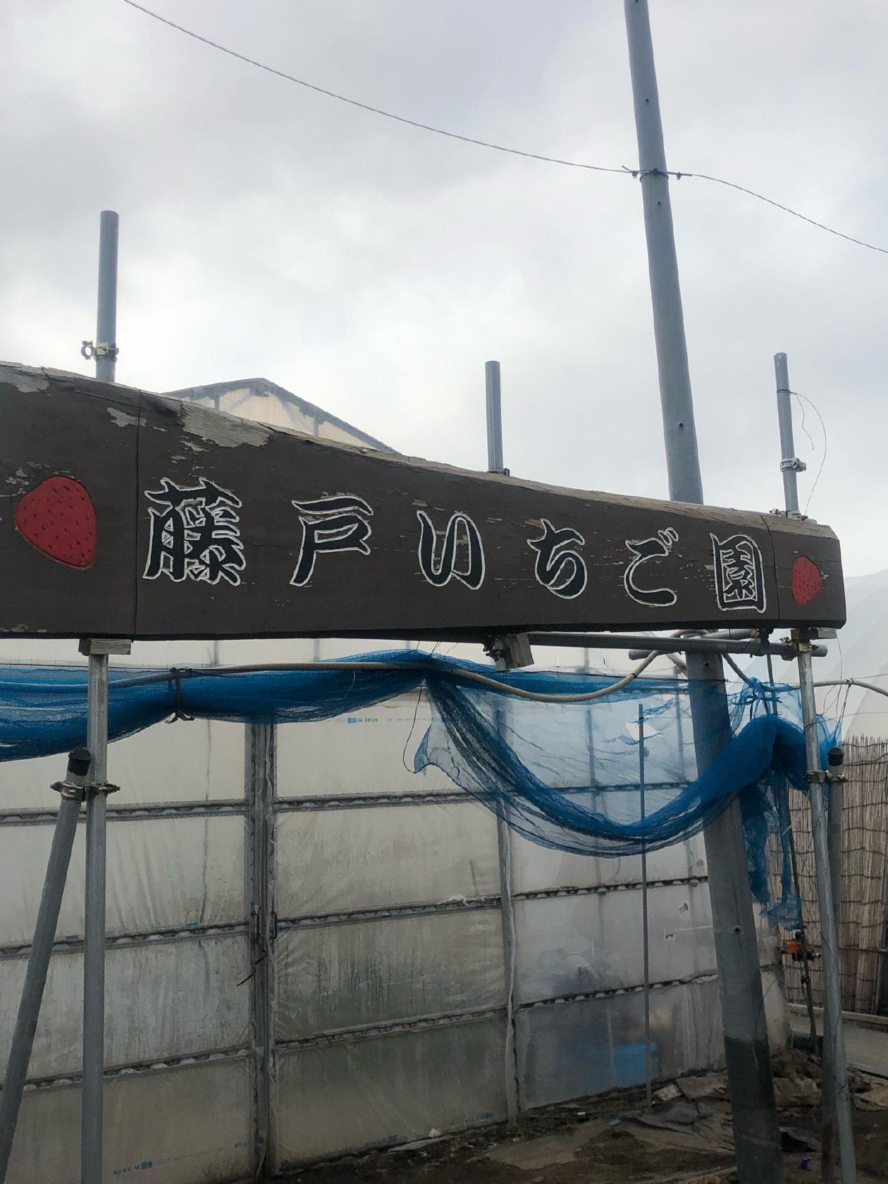 藤戸いちご園