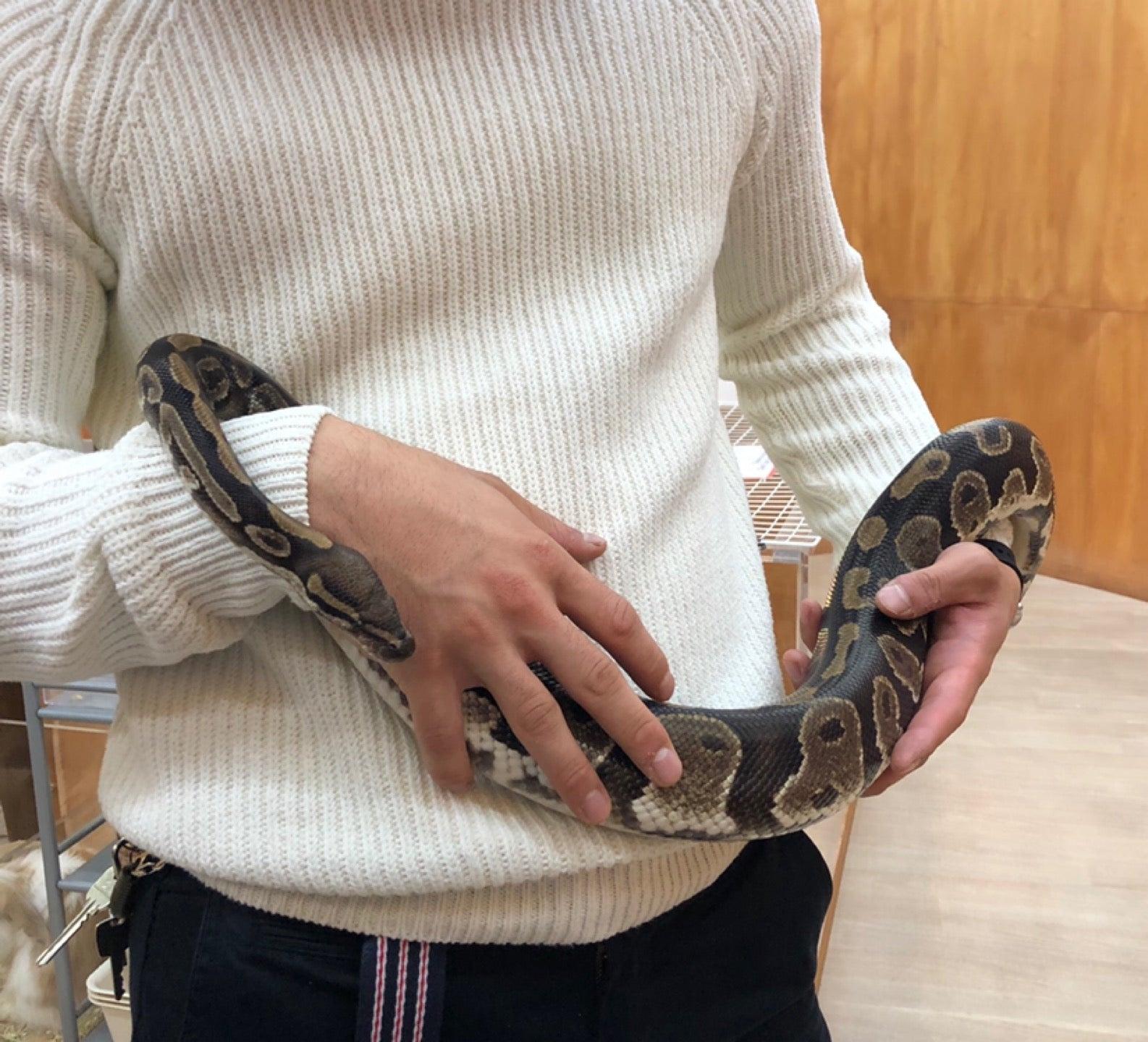 Moff Animal Cafe
