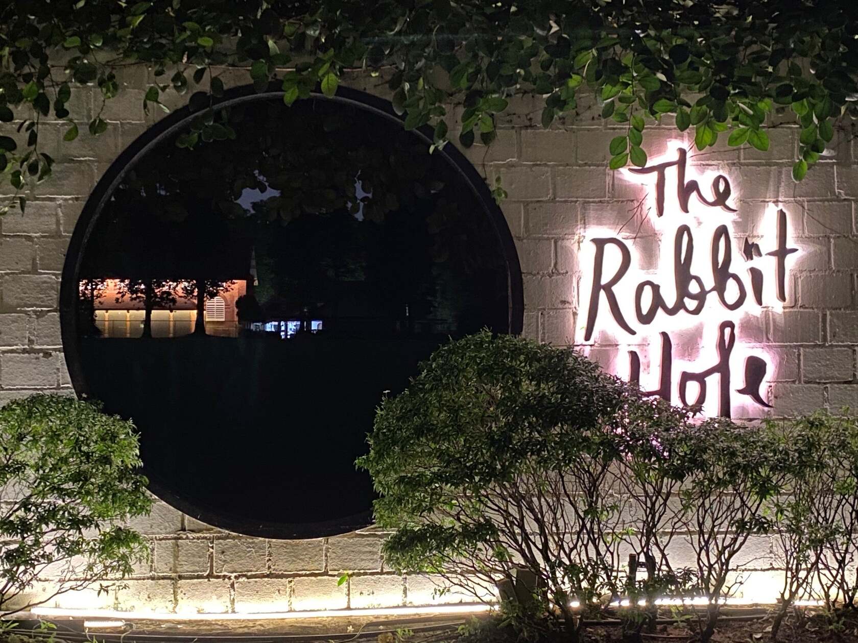 The Rabbit Hole