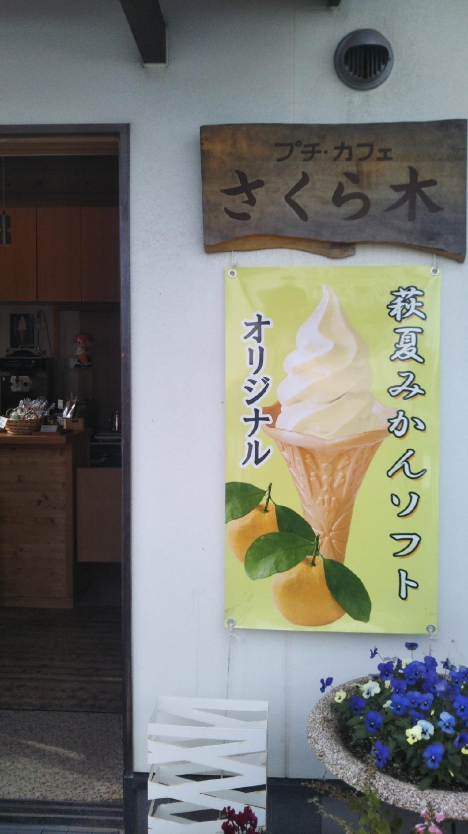 プチカフェ さくら木