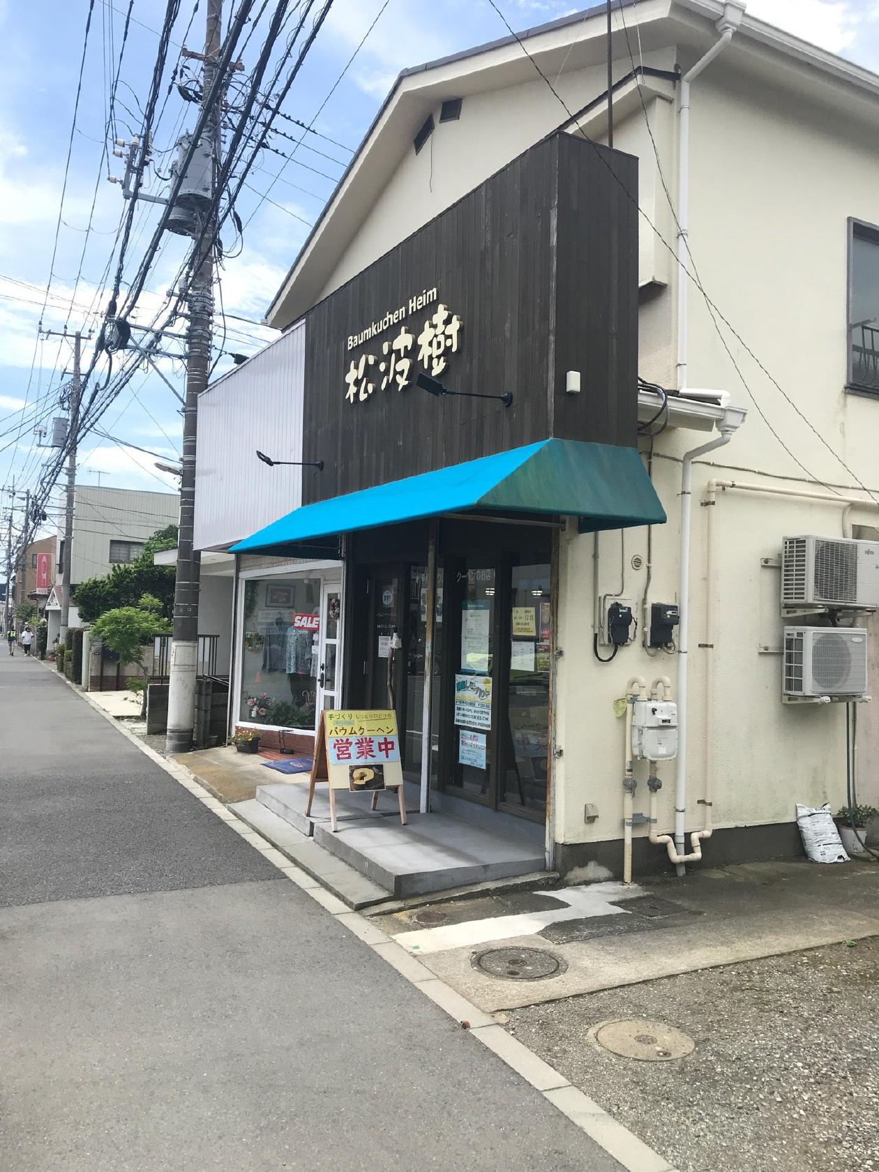 松波樹