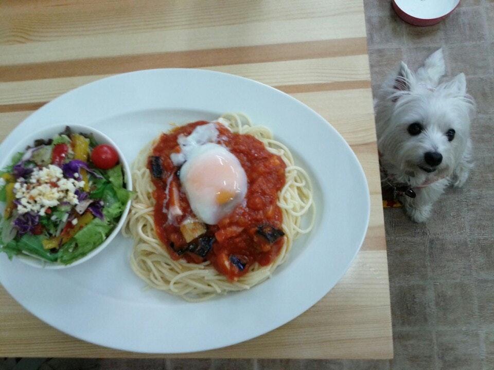ドッグカフェ accueil