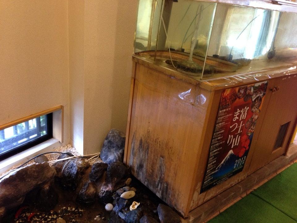 蕎麦割烹 志ほ川本店
