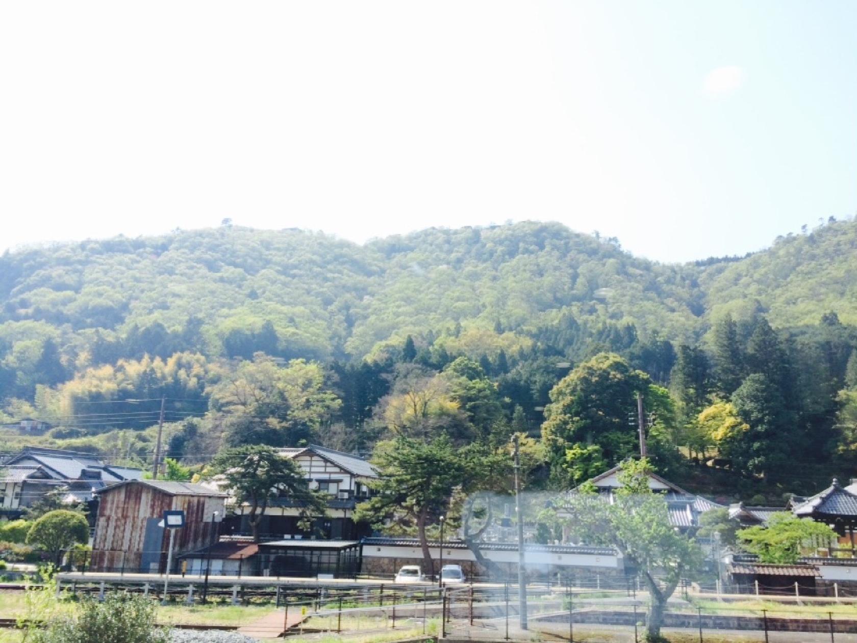 辻処ぼん