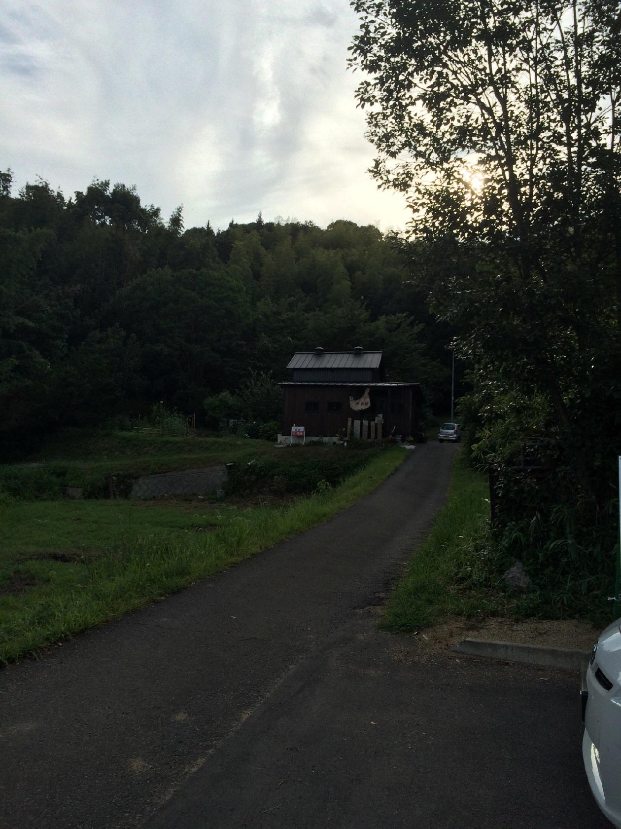 樹樹 山の小さな田舎カフェ
