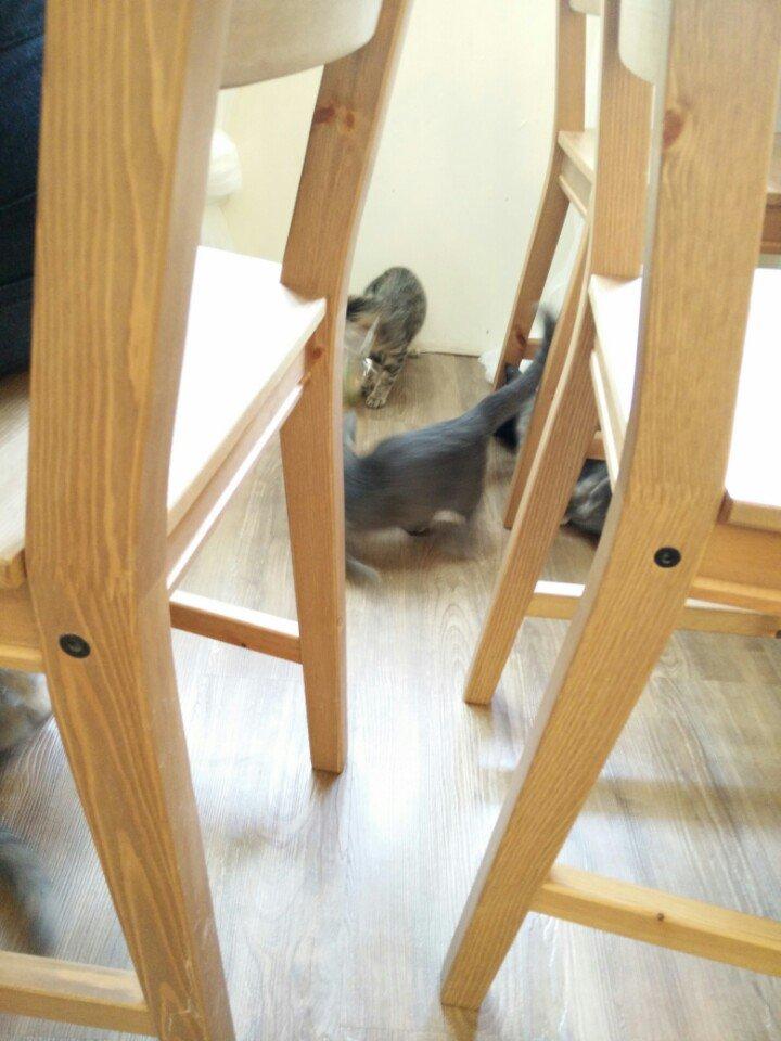 享受咖啡