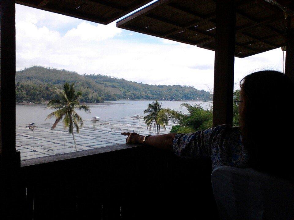 Nadine's Lake Resort