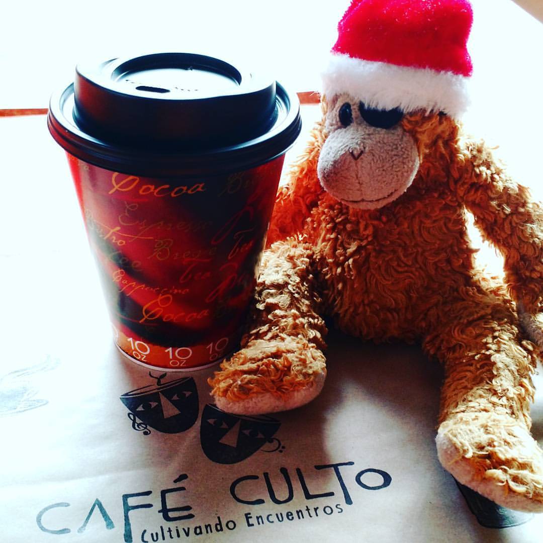 Café Culto