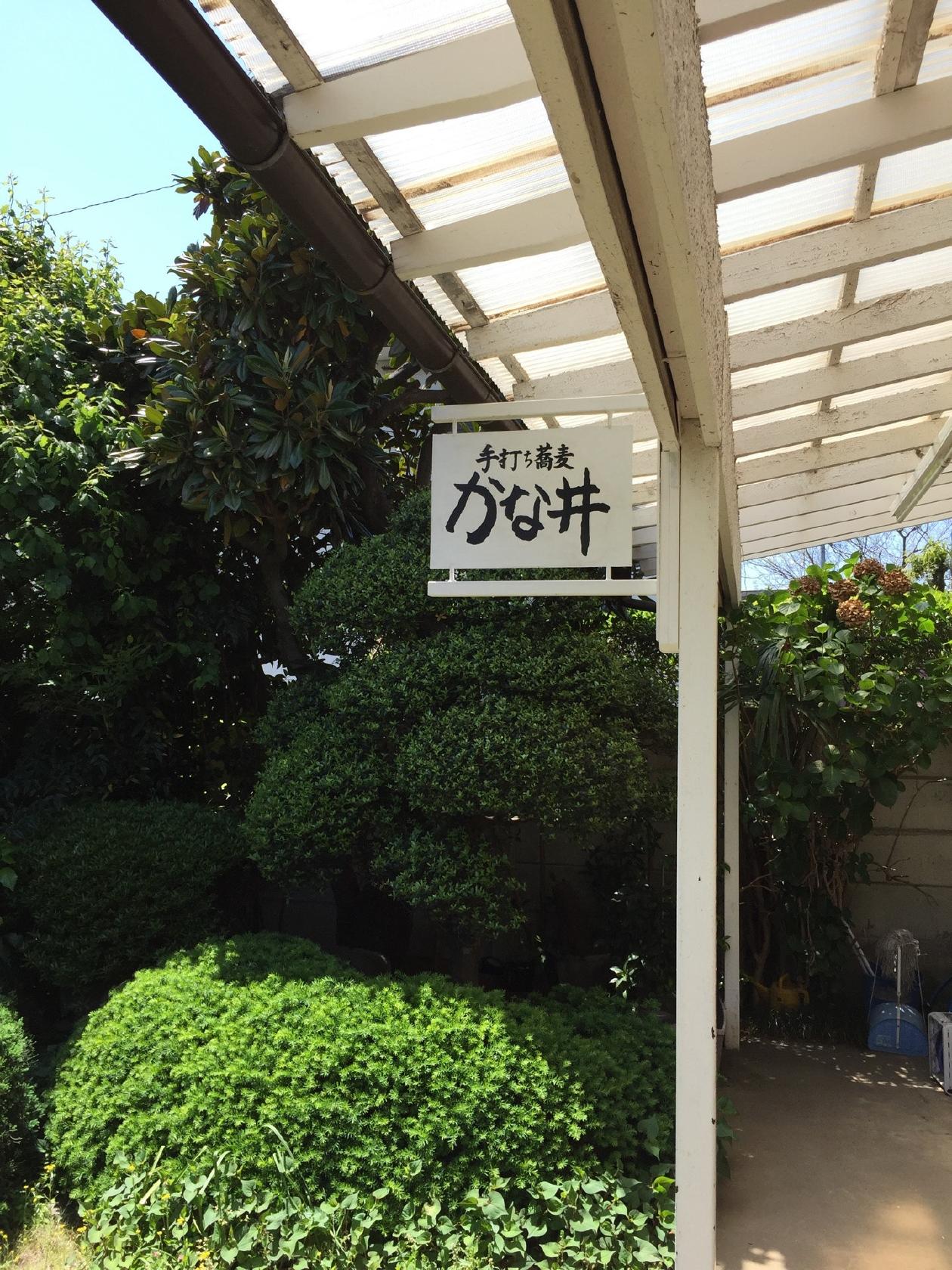 かな井