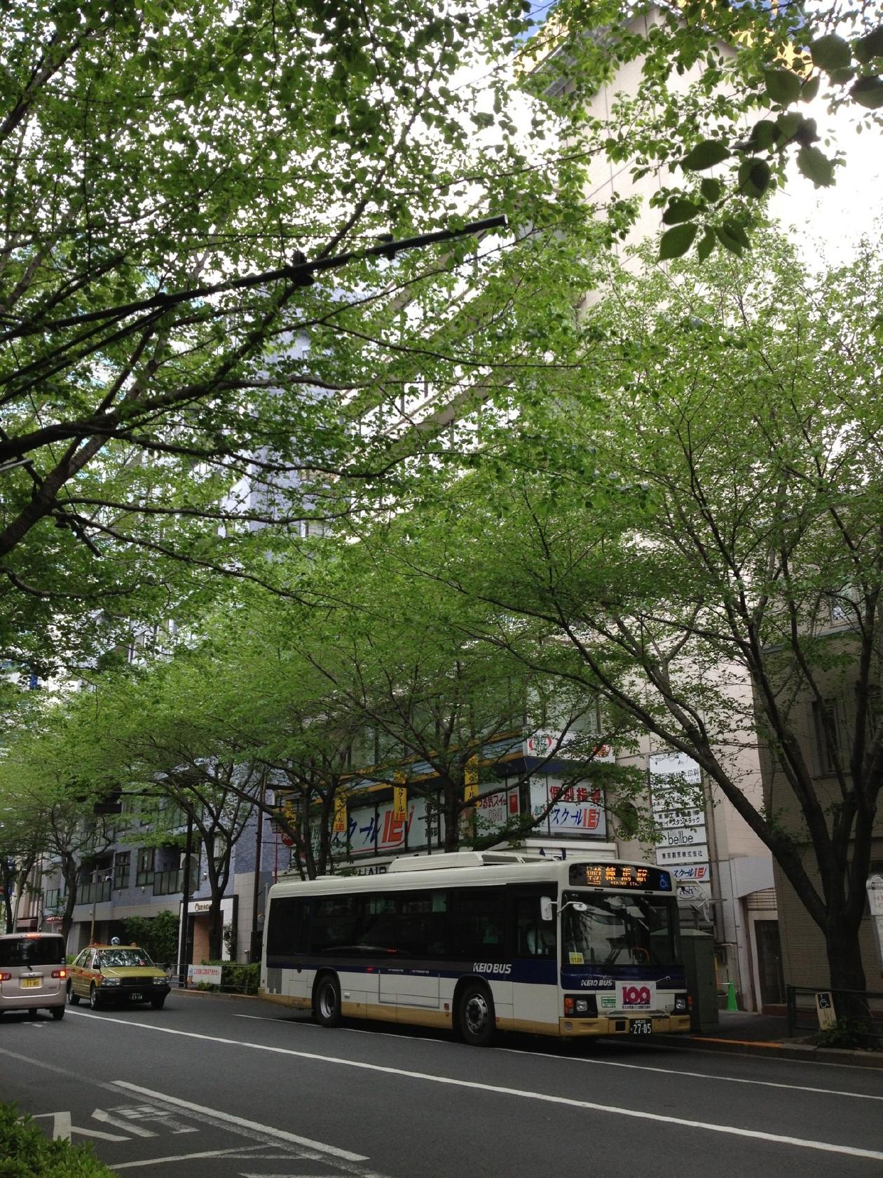 雷神堂・新井薬師店
