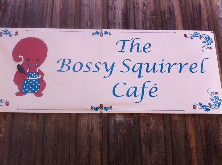 The Bossy Squirrel