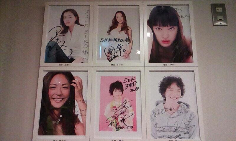 Silkbird