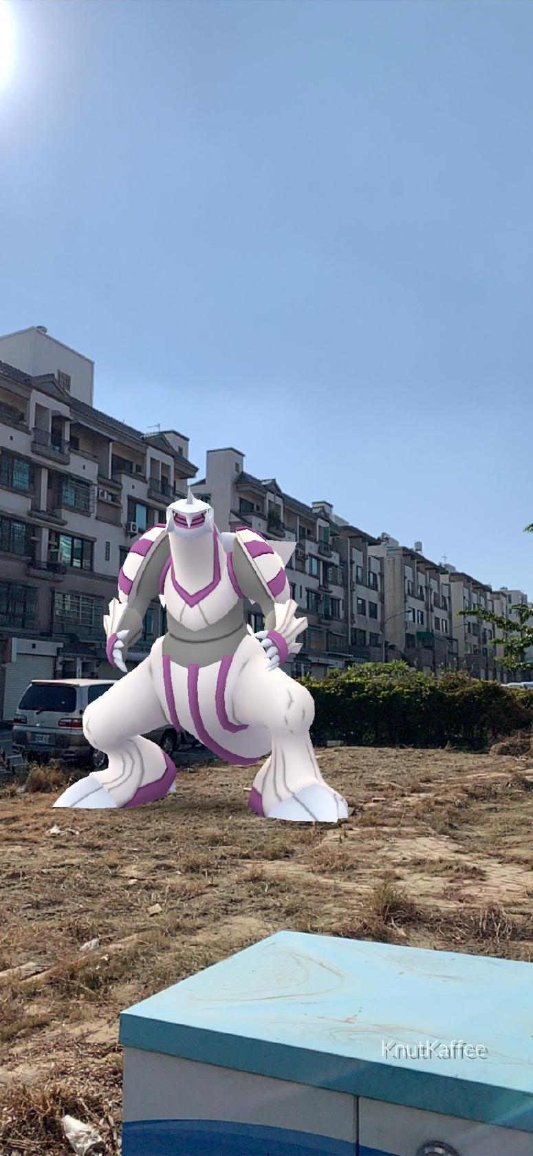 小熊苦味堂。