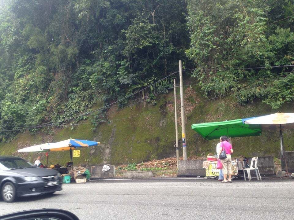 buah Berangan
