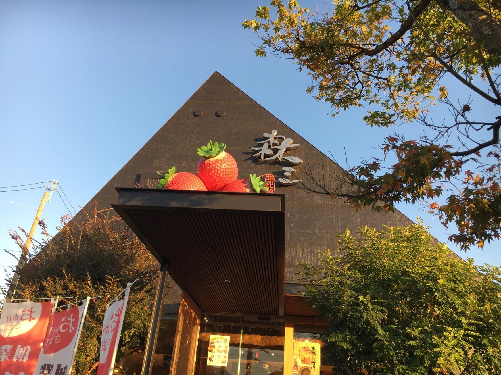 森三吉野店