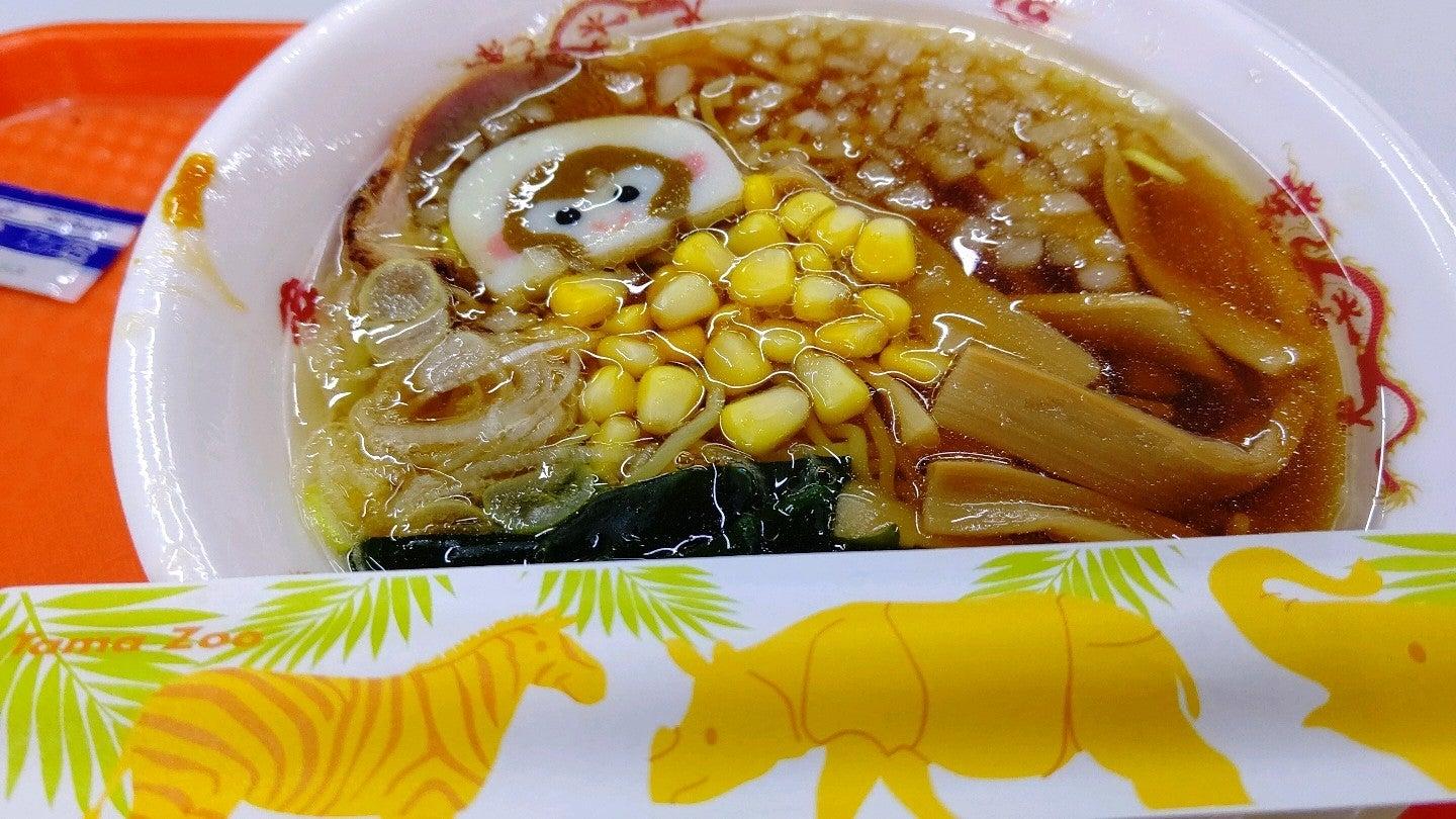 コアラ休憩所