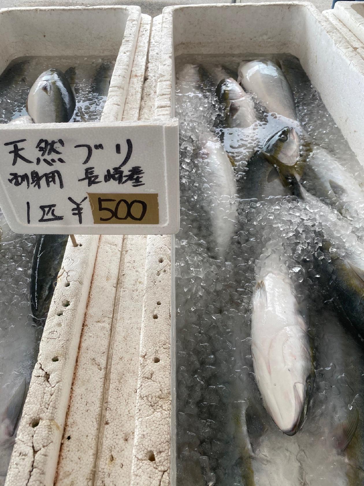 黒潮市場