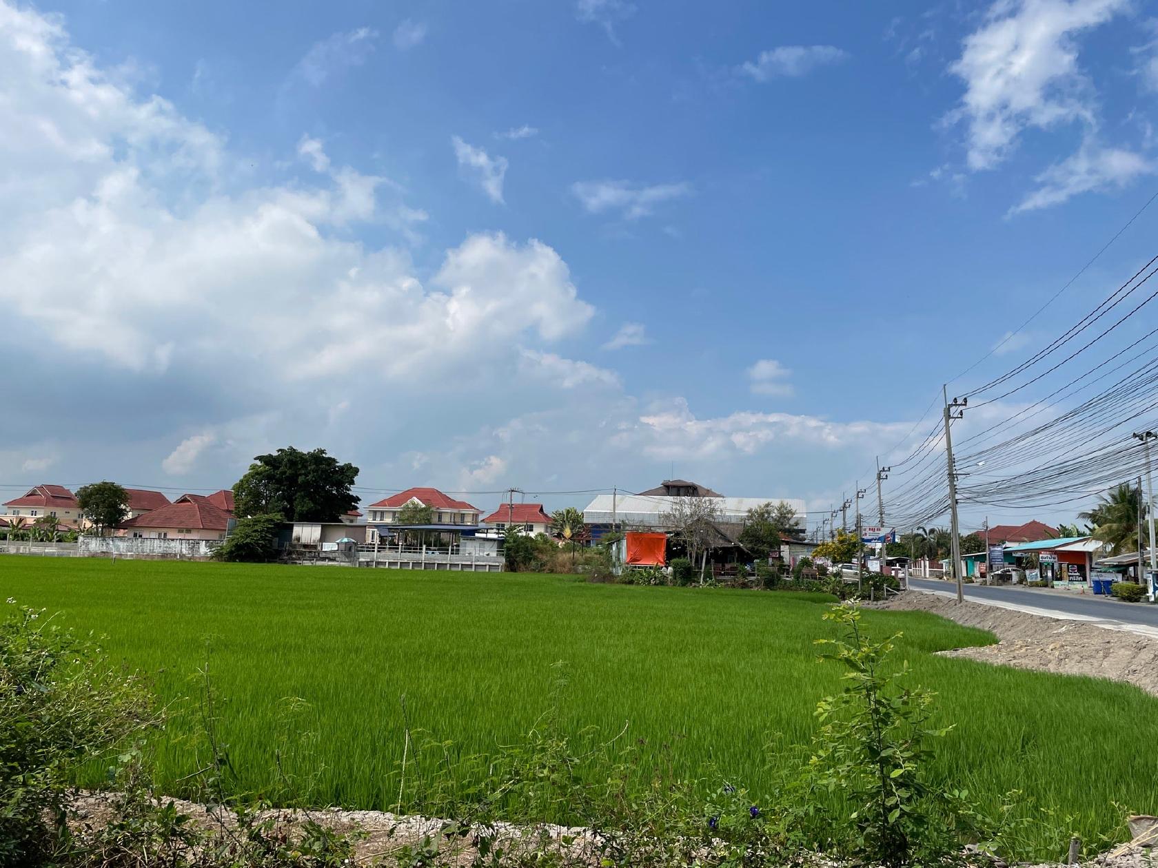 ก๋วยเตี๋ยวริมทุ่ง