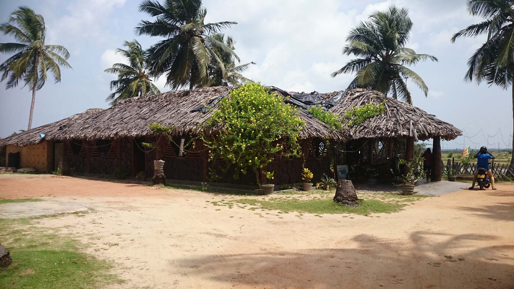 Palmyrah Village
