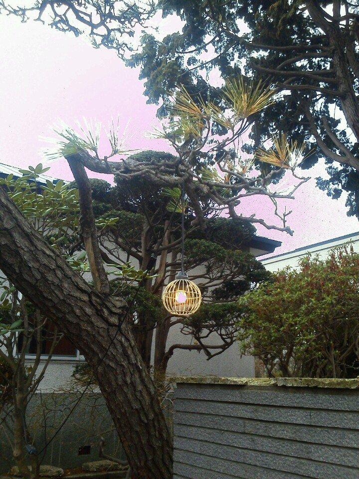 茶房 櫻の下