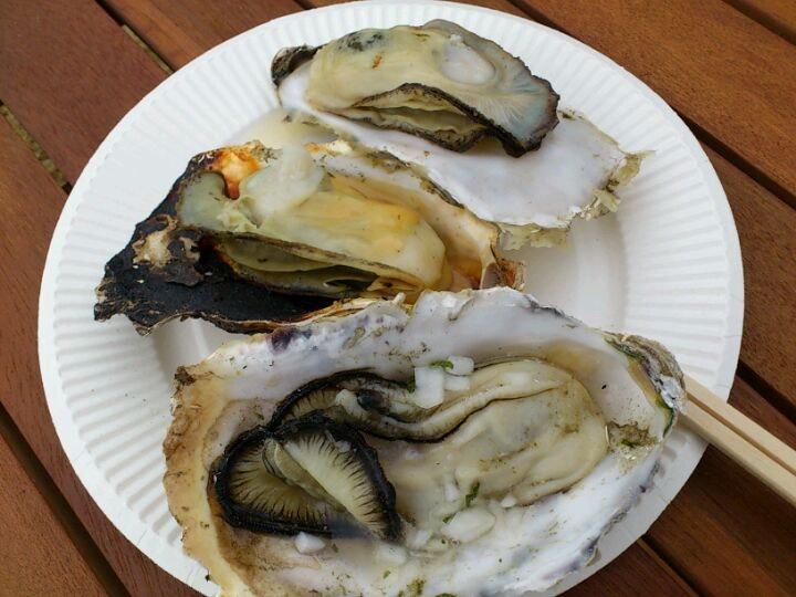 はぶかるフォレストデッキ