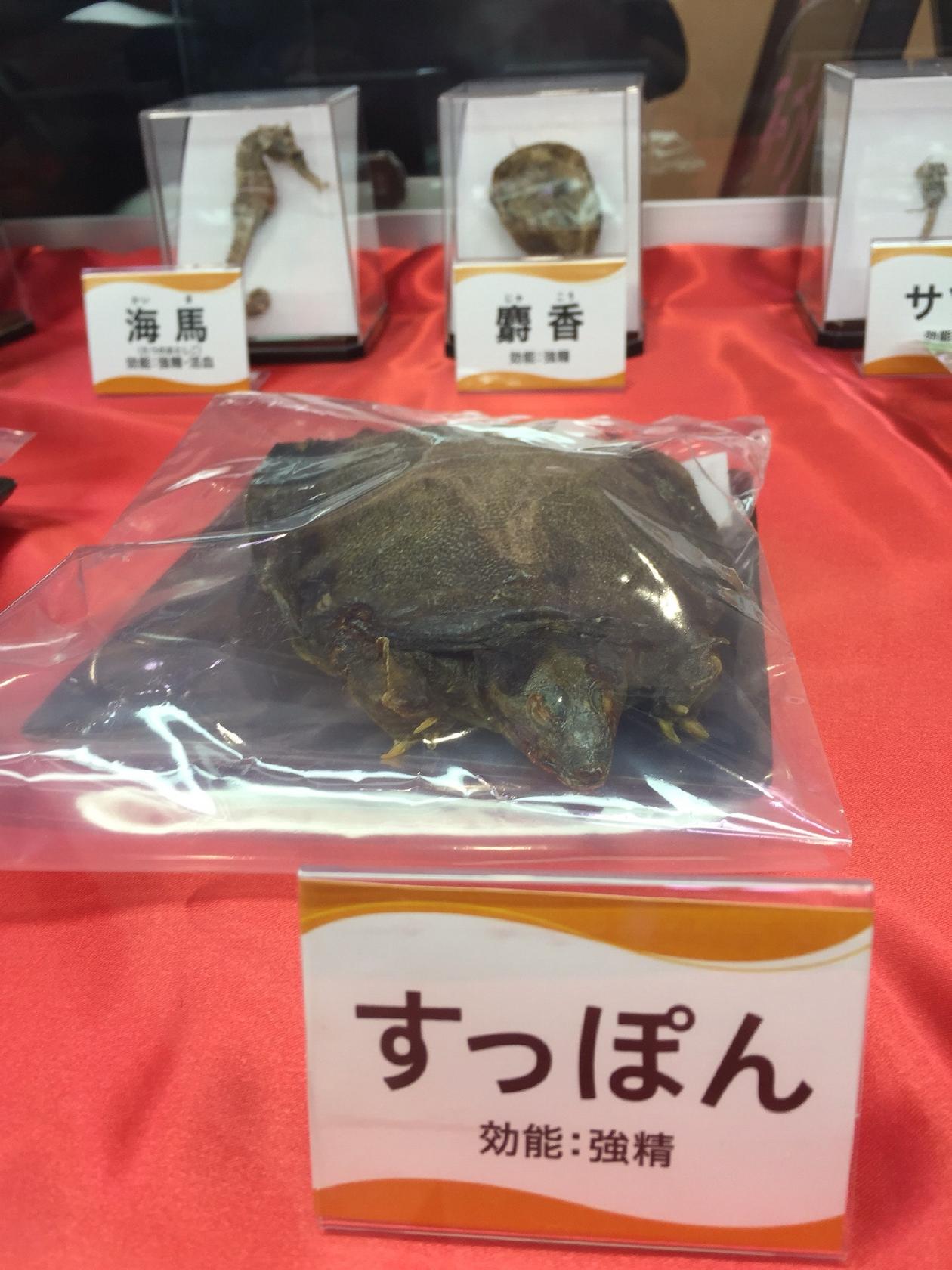 和菓子 本家大和田