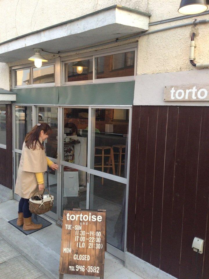 tortoise