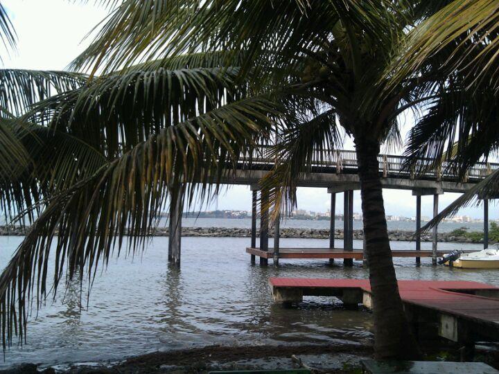 Pescadería Cundá