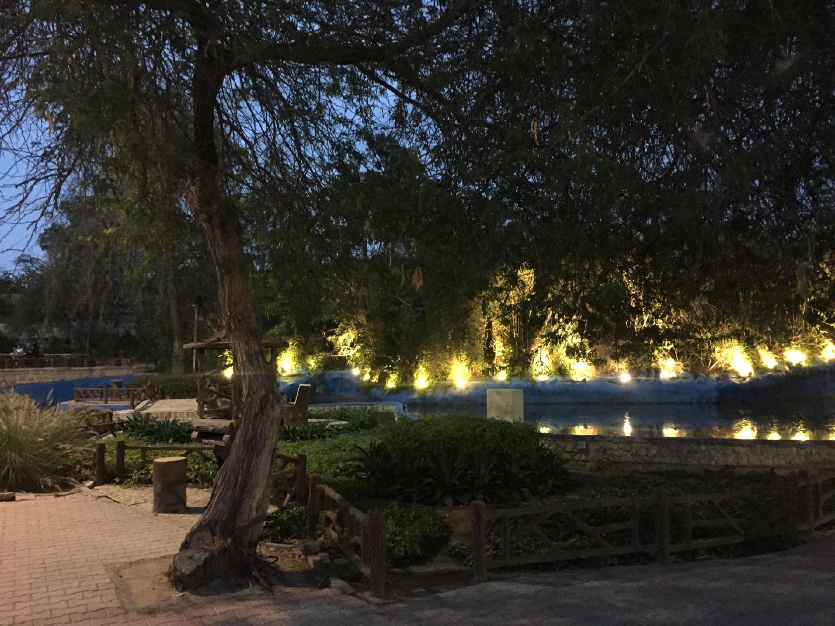 Pinguin Restaurant رستوران پنگوئن