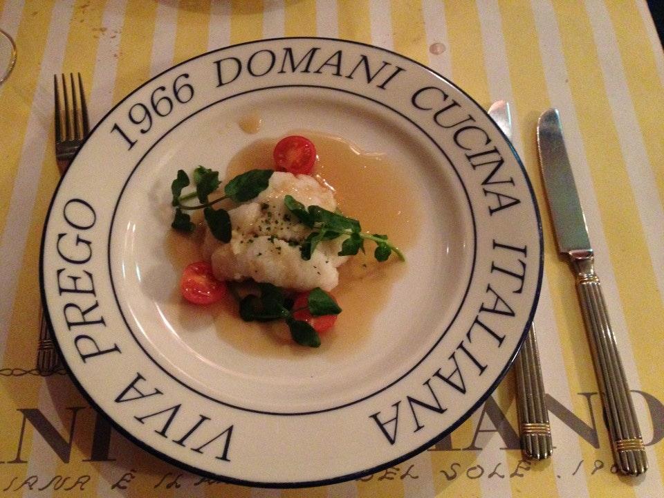 1966 DOMANI