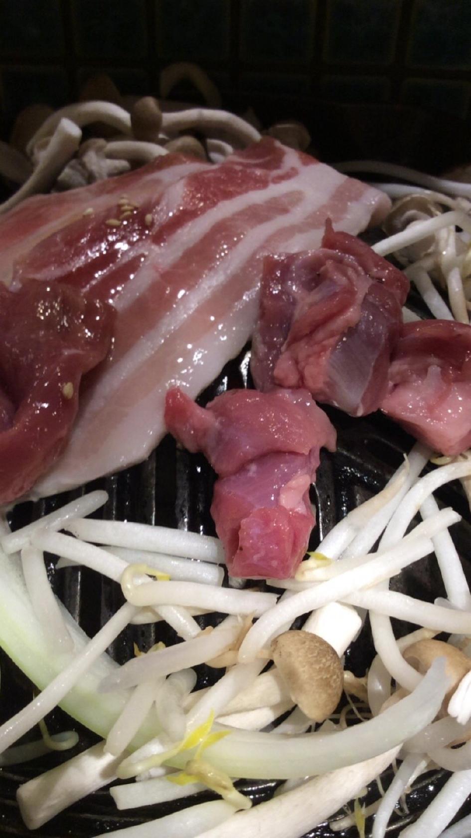 わいわい！モンゴリアン