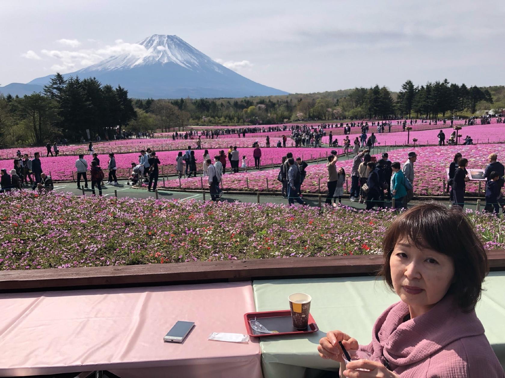 桜カフェ FUJIYAMA SWEETS