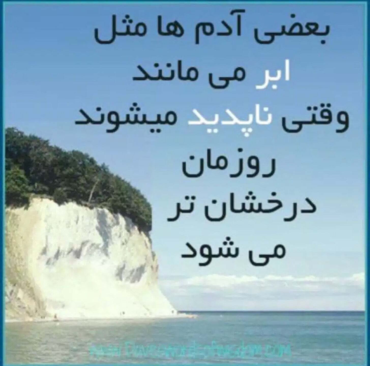 غذای خانگی مروارید